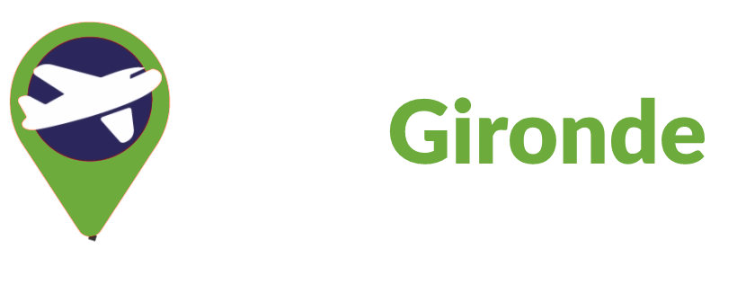 taxigironde.com